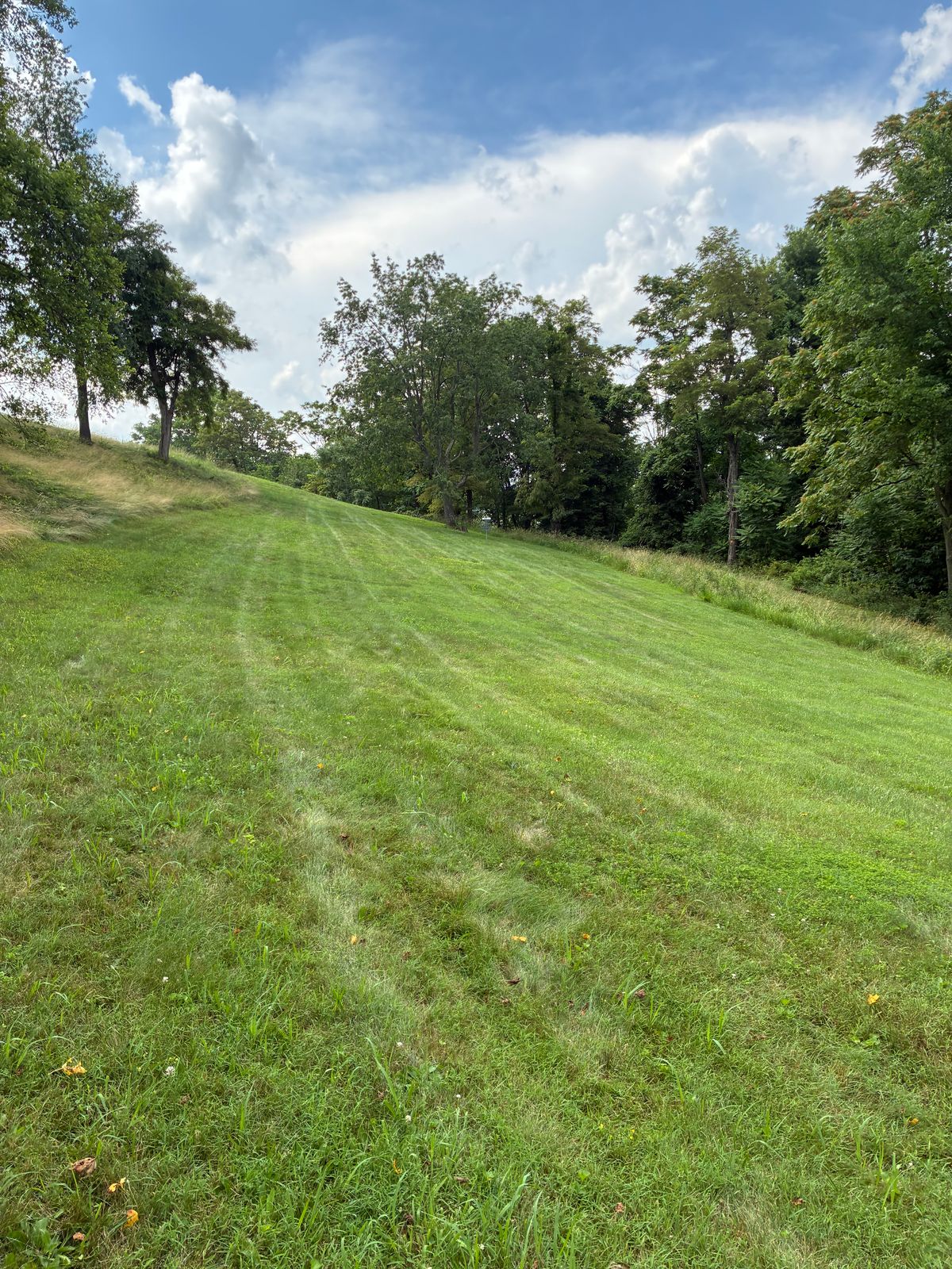 #8 fairway to baskets.