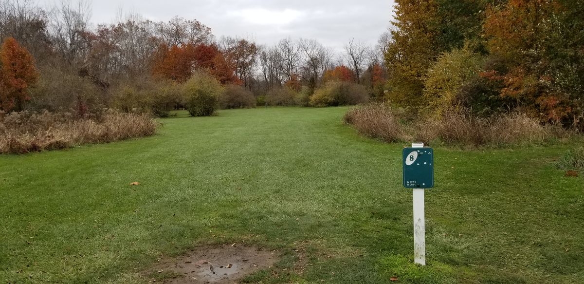 Hole 8