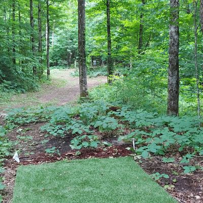 Tee pad #3 🌿☘🍀🌱