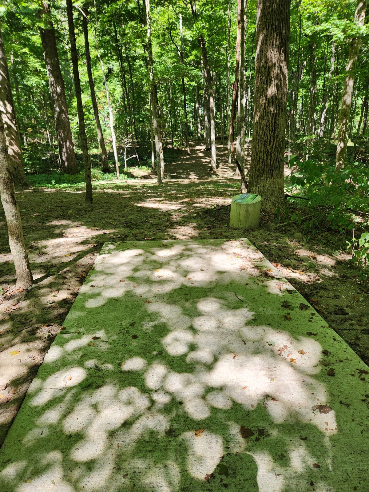 Hole 13 Blue