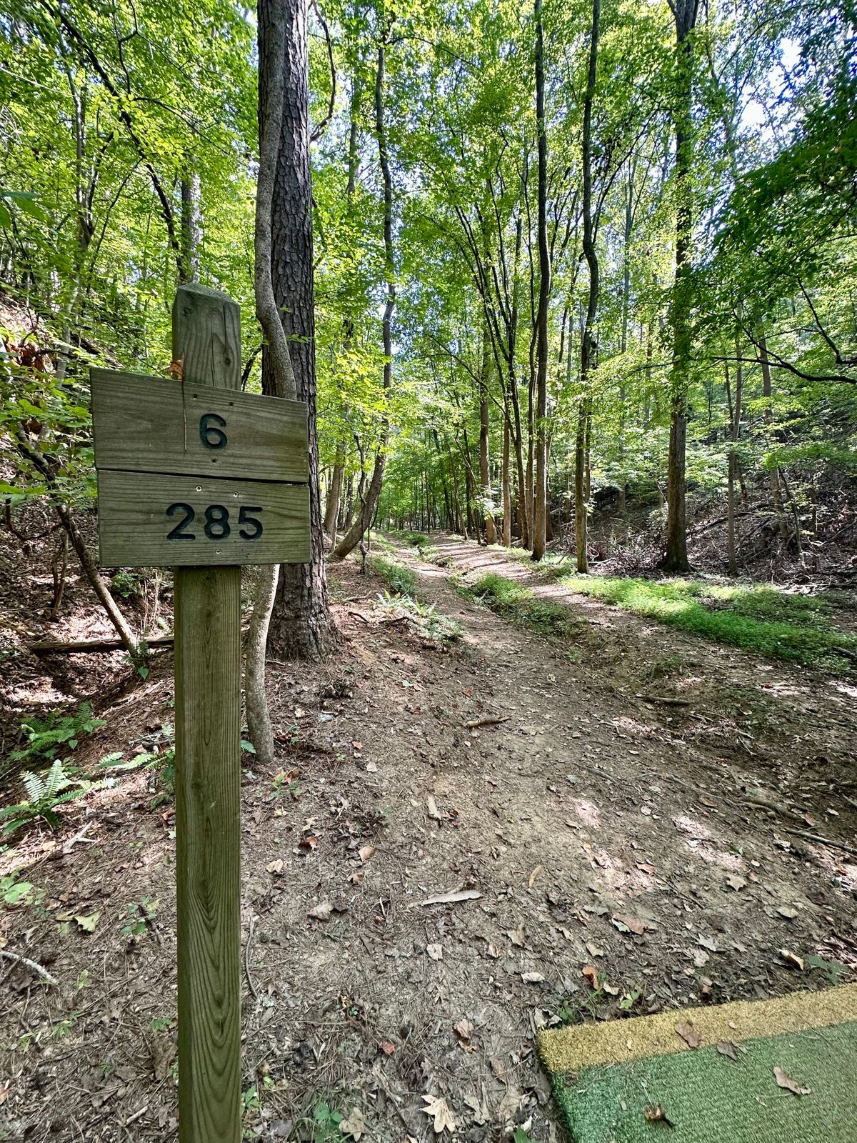 Hole 6