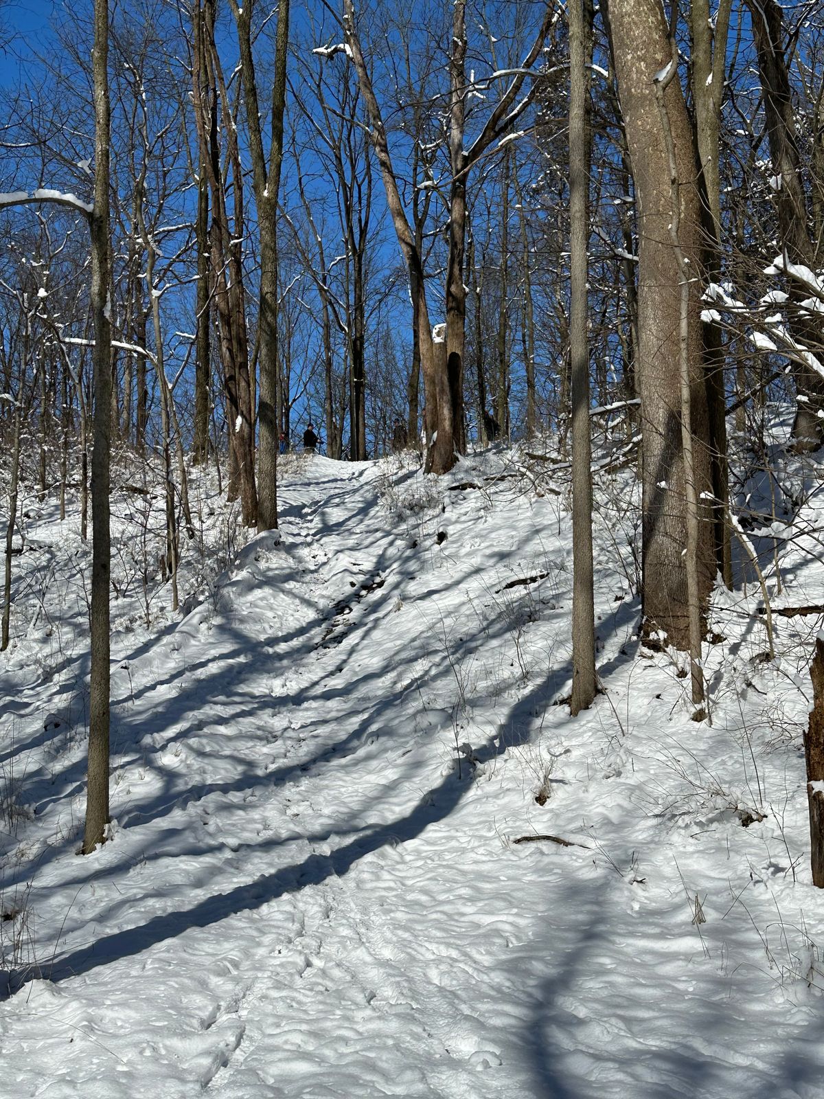 Beautiful Snowy Saturday at Boondocks in Knightstown.