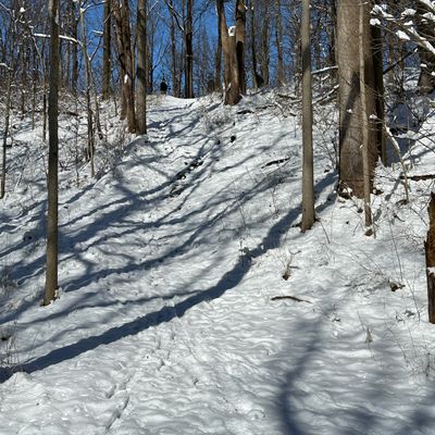 Beautiful Snowy Saturday at Boondocks in Knightstown.