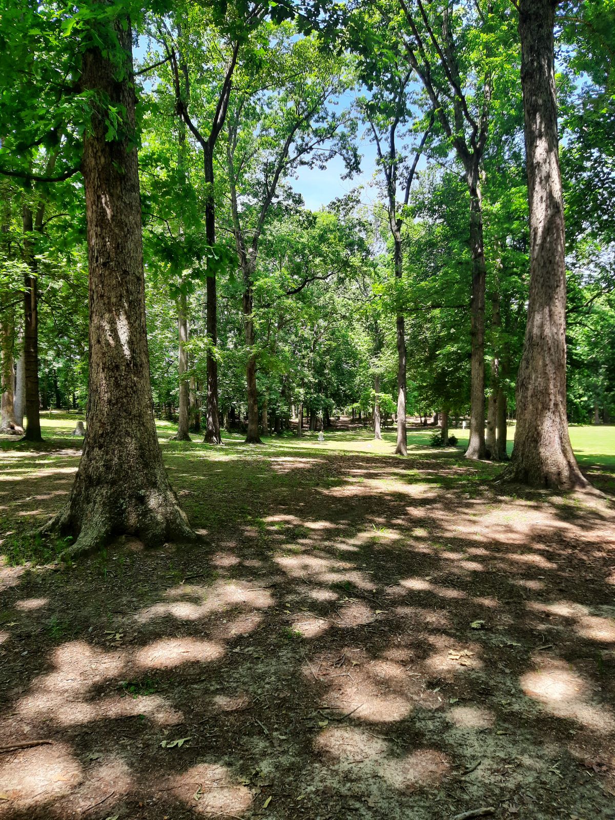 Hole 10 Fairway