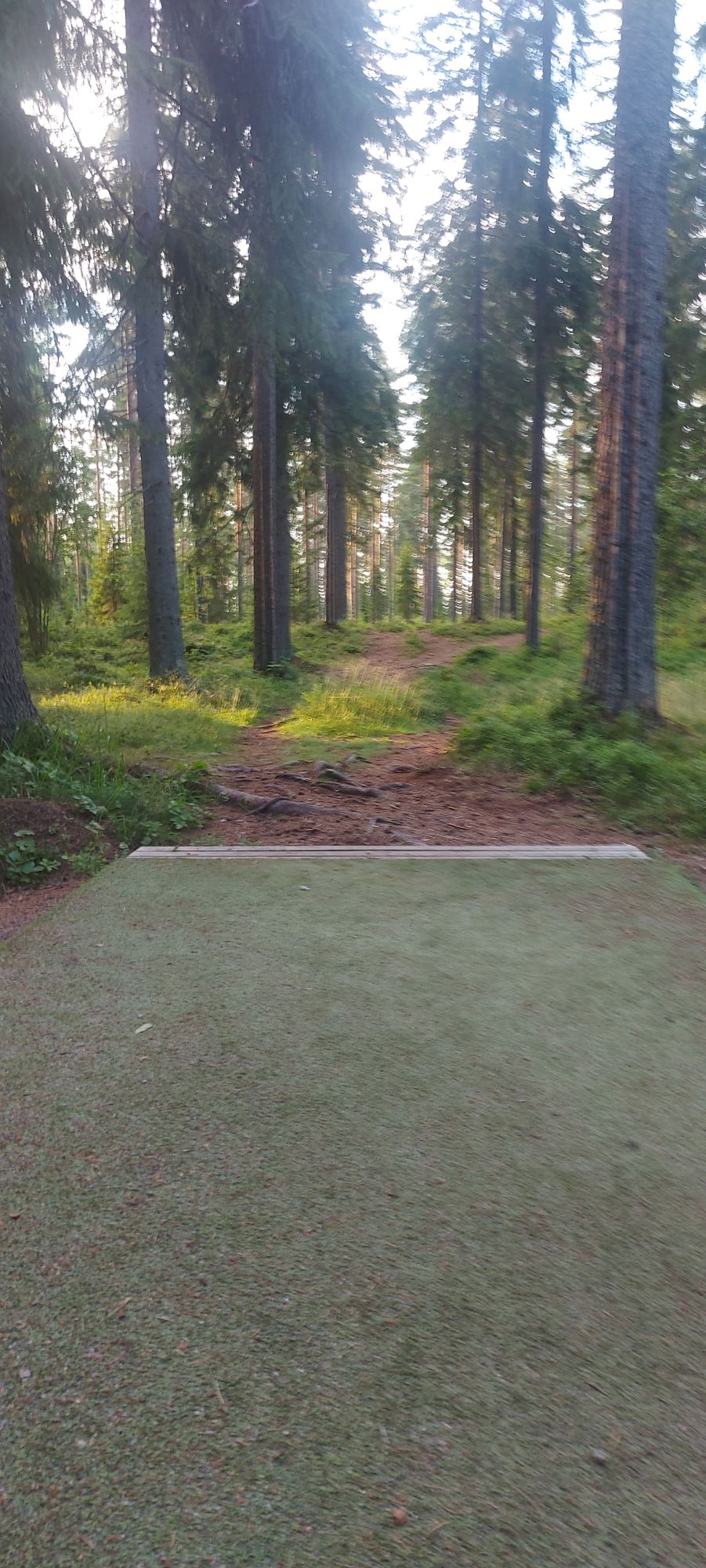 Tarinalaakso New Course tee 12