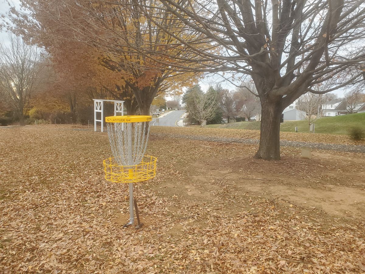 Disc Golf In Bel Air!
