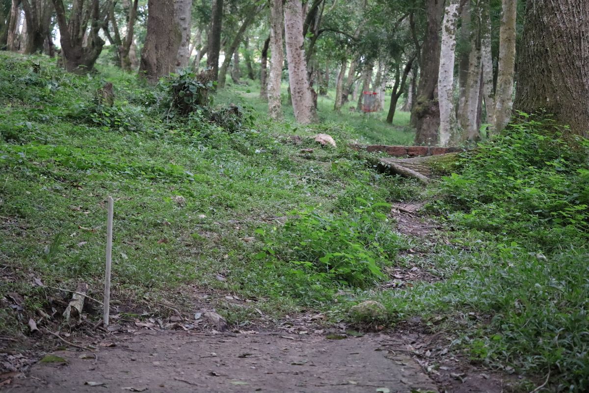 Hole 13 Long Tee