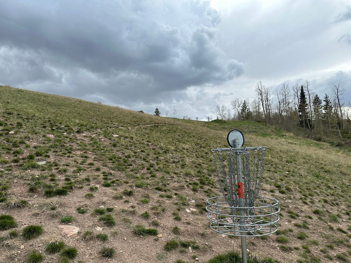 Hole 7 Basket to Tee