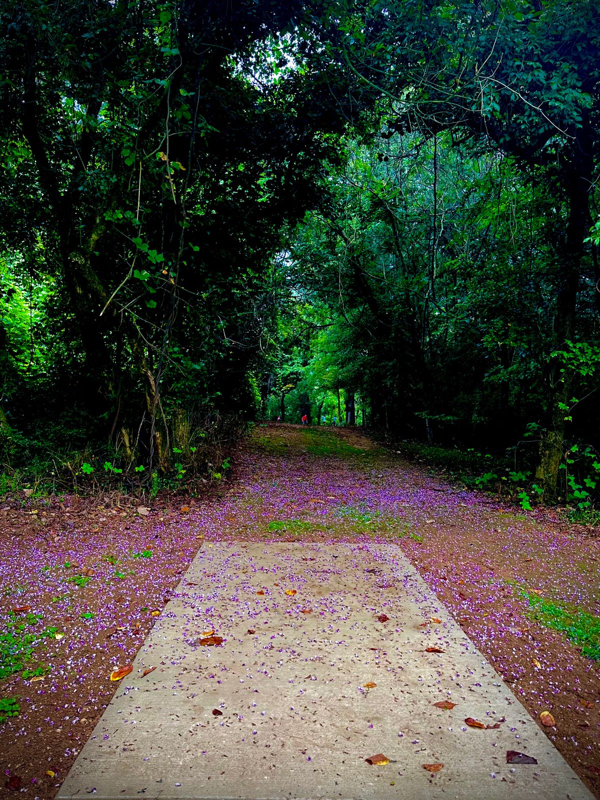 Hole 4 (Long)