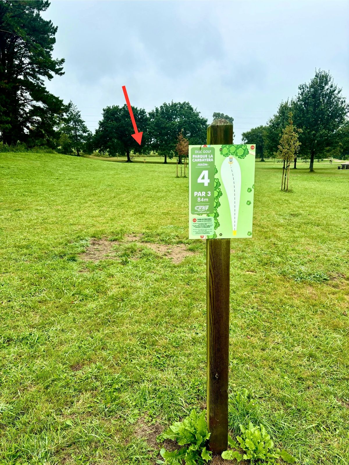#4 / basket location (arrow)