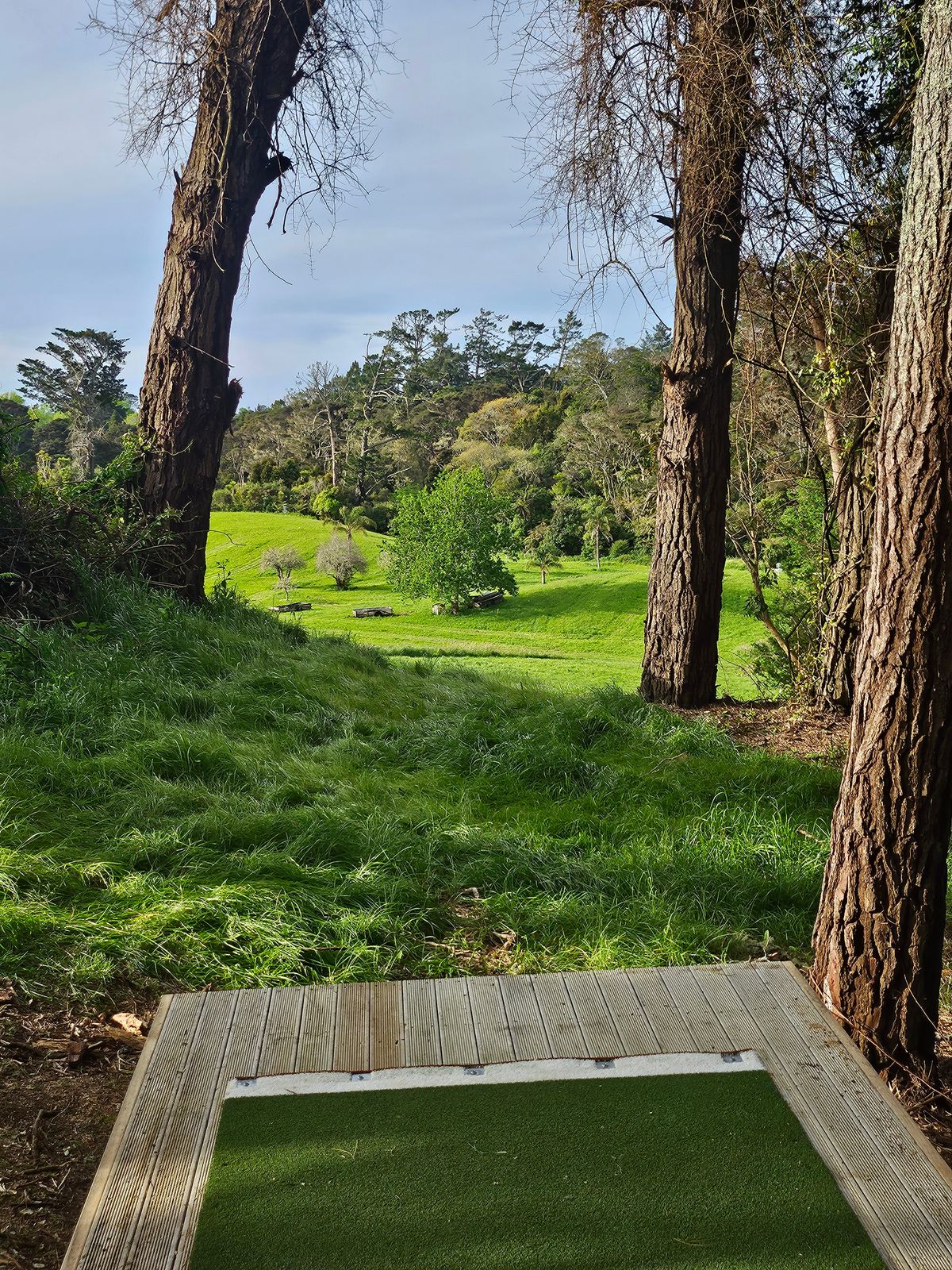 View from the Golf tee 7, basket down to the right.