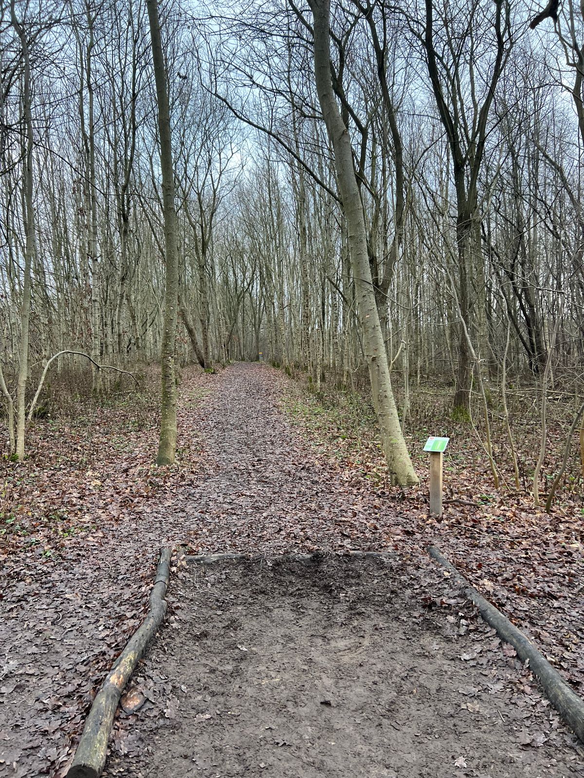 Hole 7