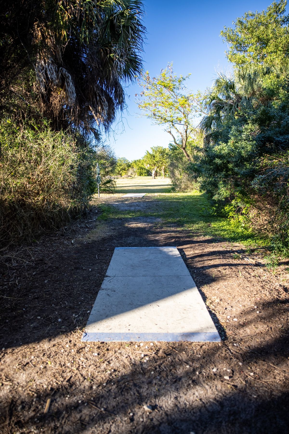 Hole 5 long pads.