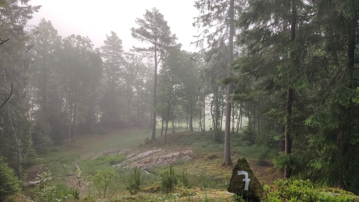 Foggy morning