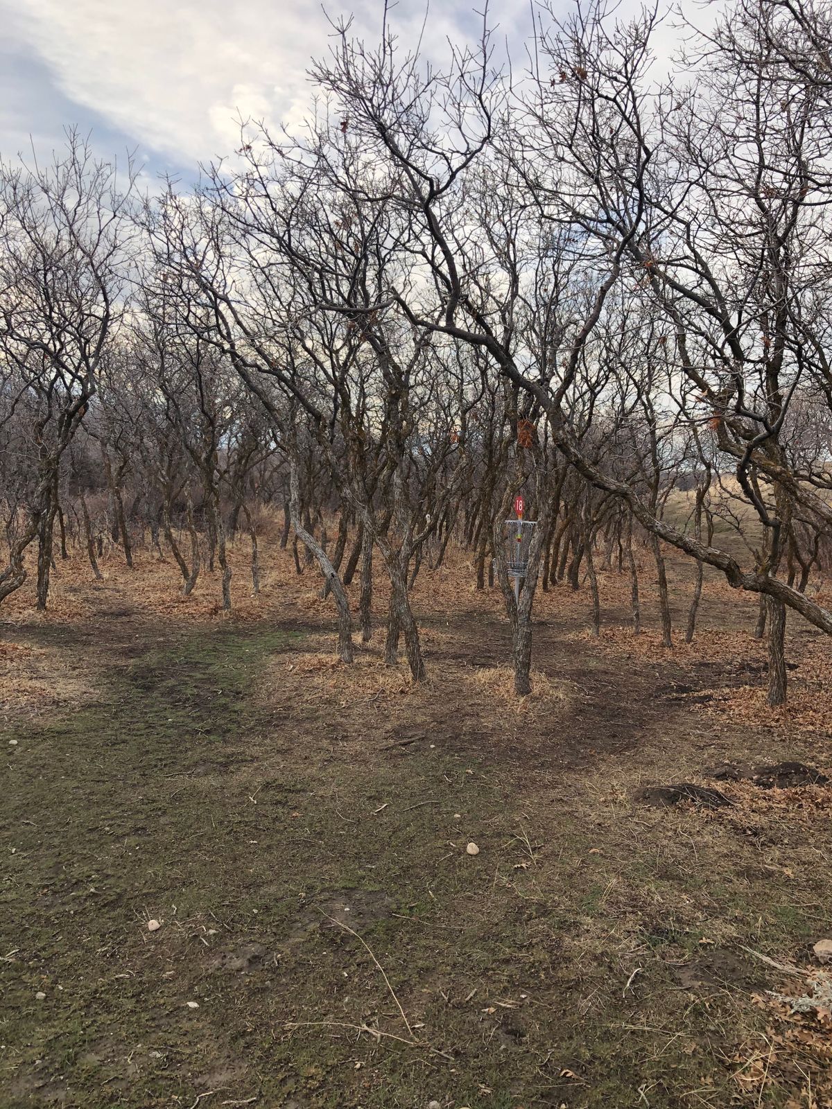 Position A: The harder of the two placements for Hole 18 basket; surrounded by trees.