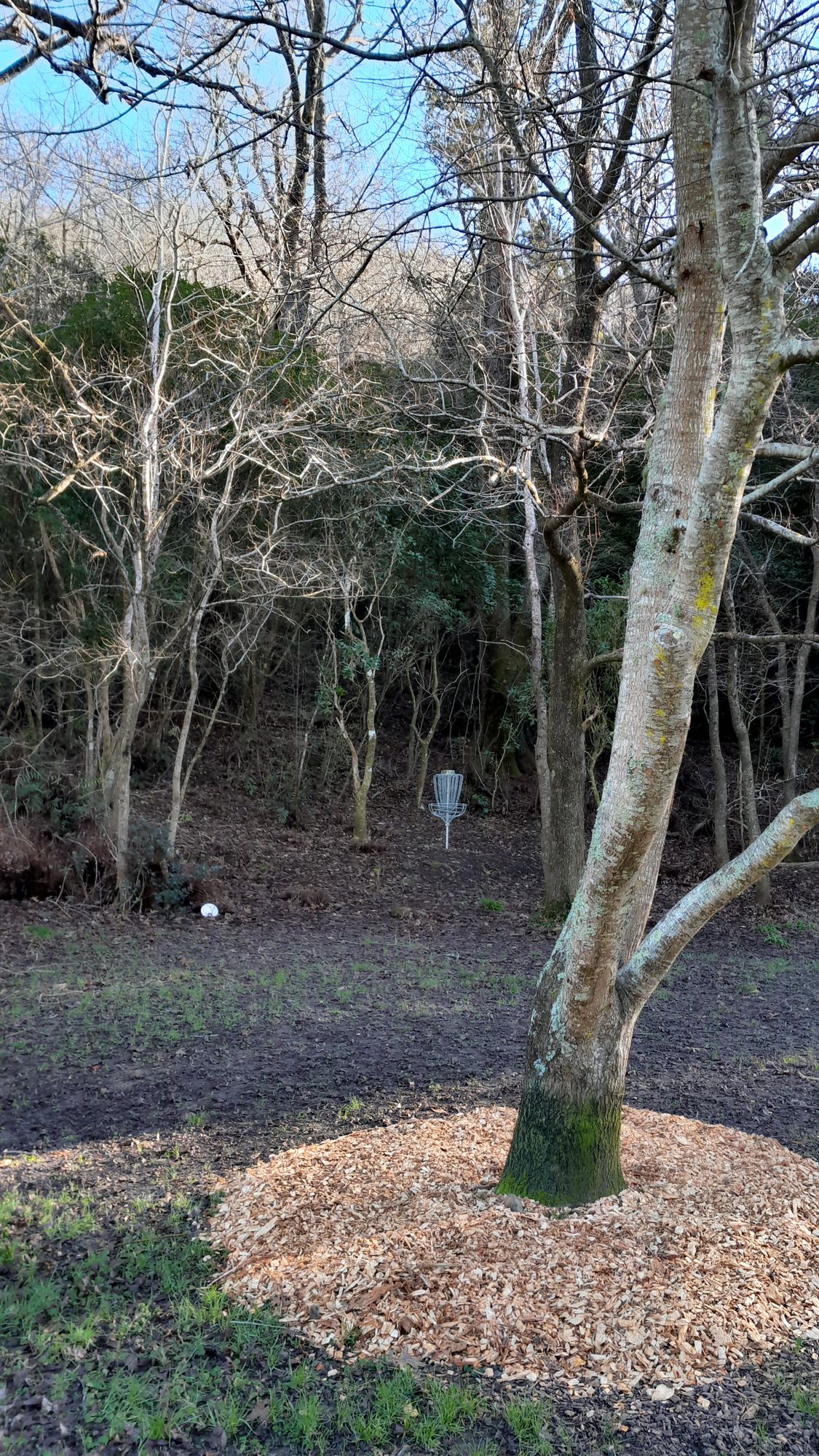 Hole 8 green