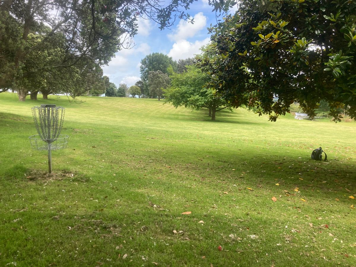 Basket tucked between a cluster of trees, looking back over the fairway and pond