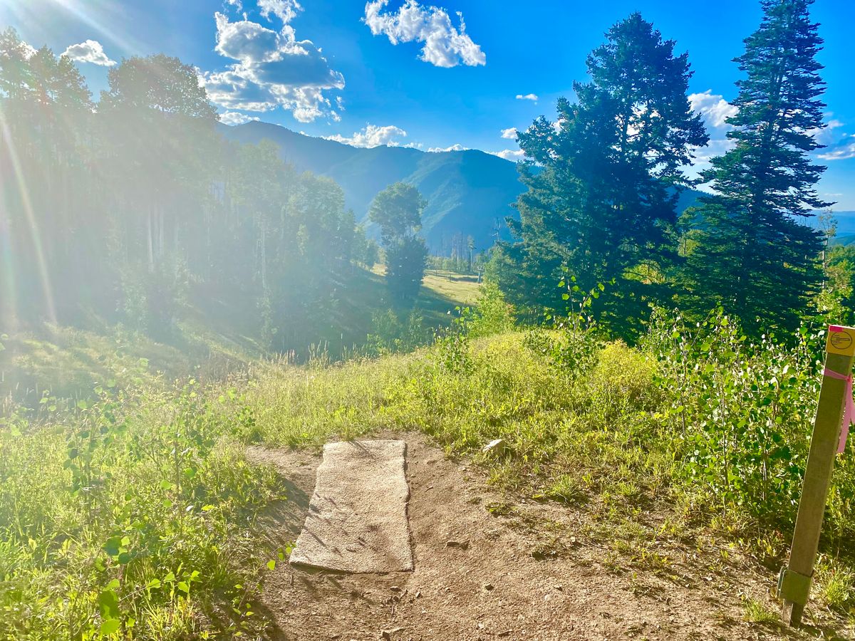 Down the hill