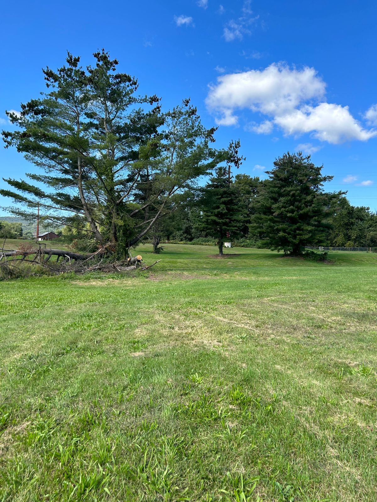 Hole 5