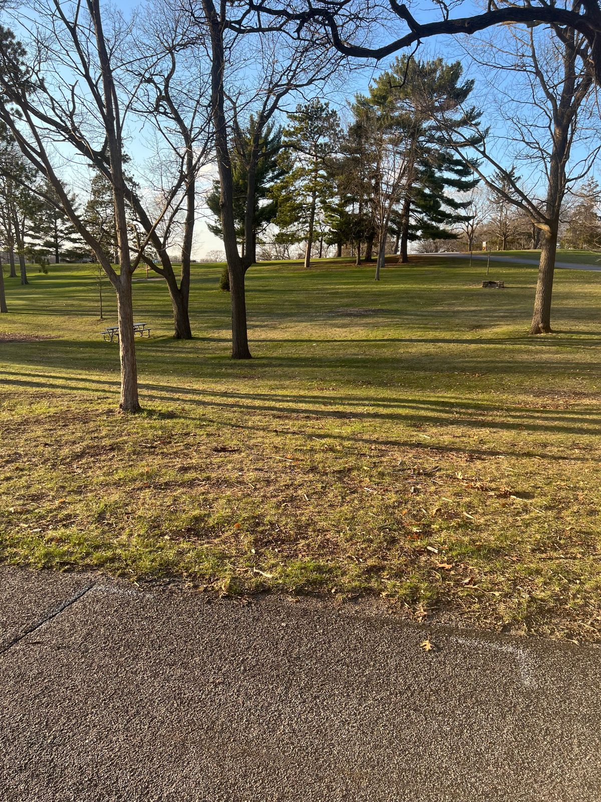 Hole 7 Alt Tee - 4/21/25