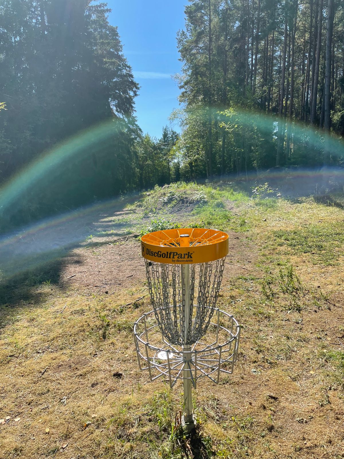 Hål 7 korg mot tee