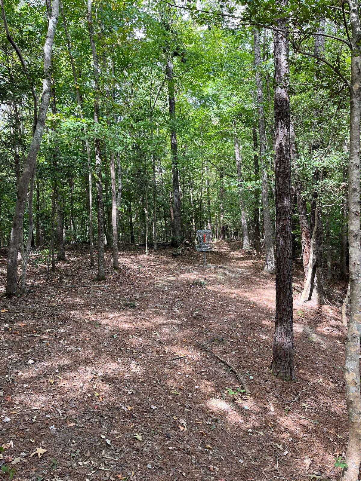 Hole 13: green