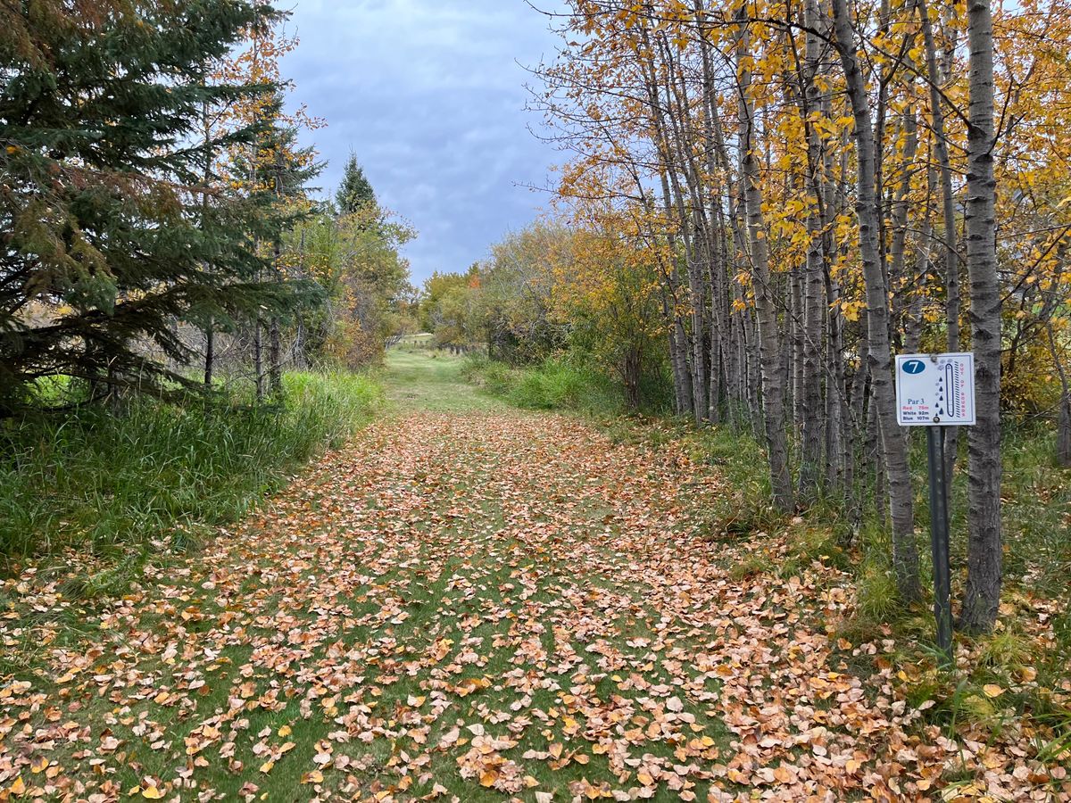 Hole 7