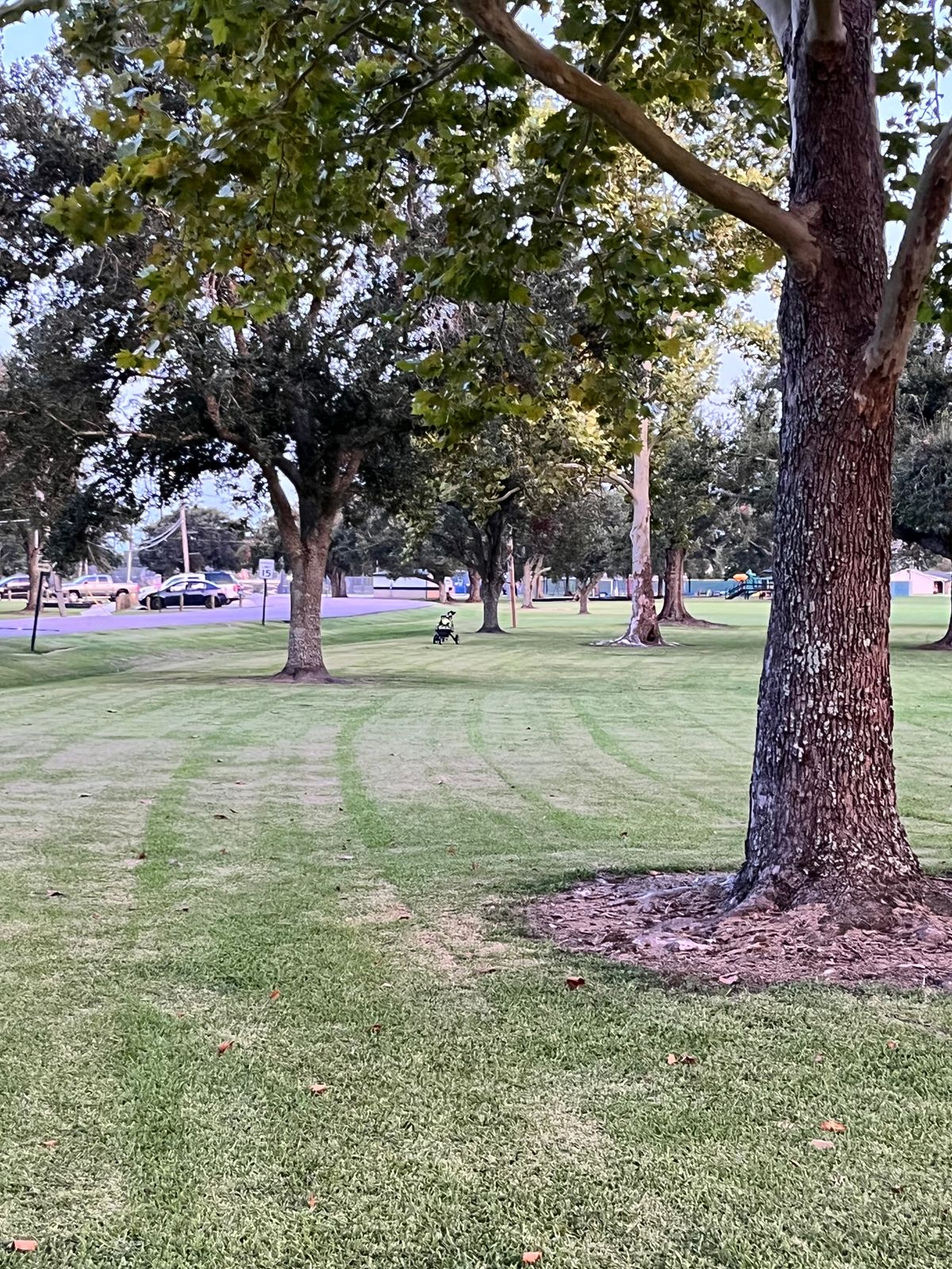 Hole 5 Fairway (cart represents target)