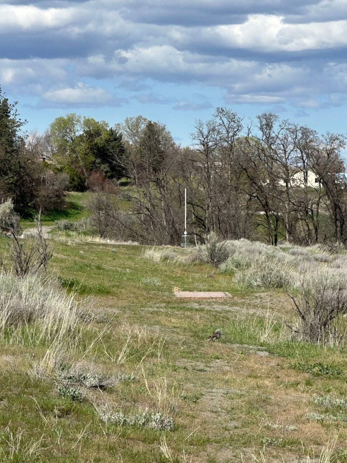 Hole 7 basket from mid-fairway