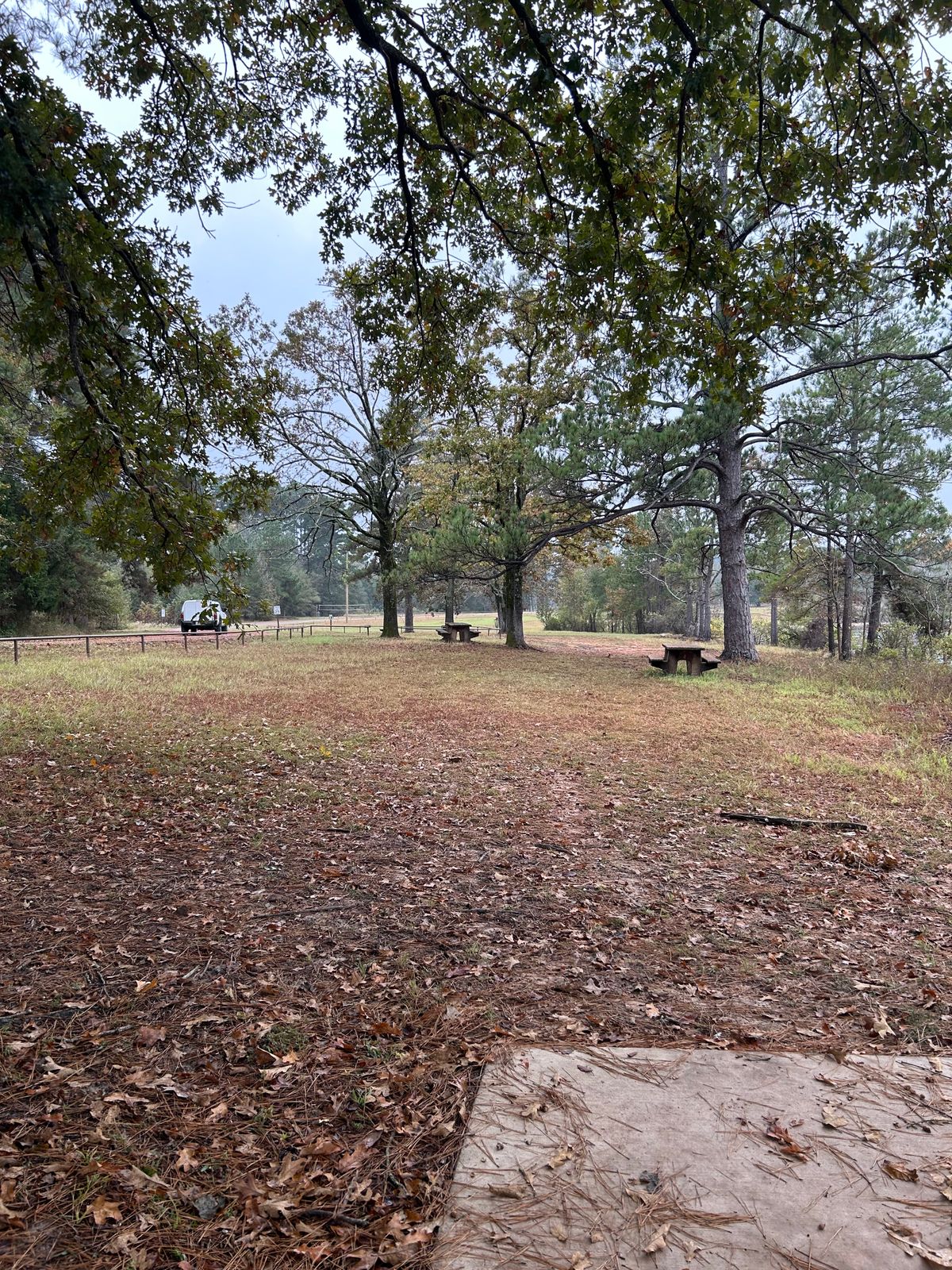 Hole 4 tee shot