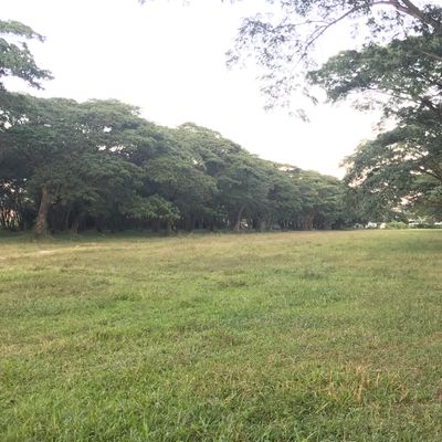 Hole 5. Nice little ace run!