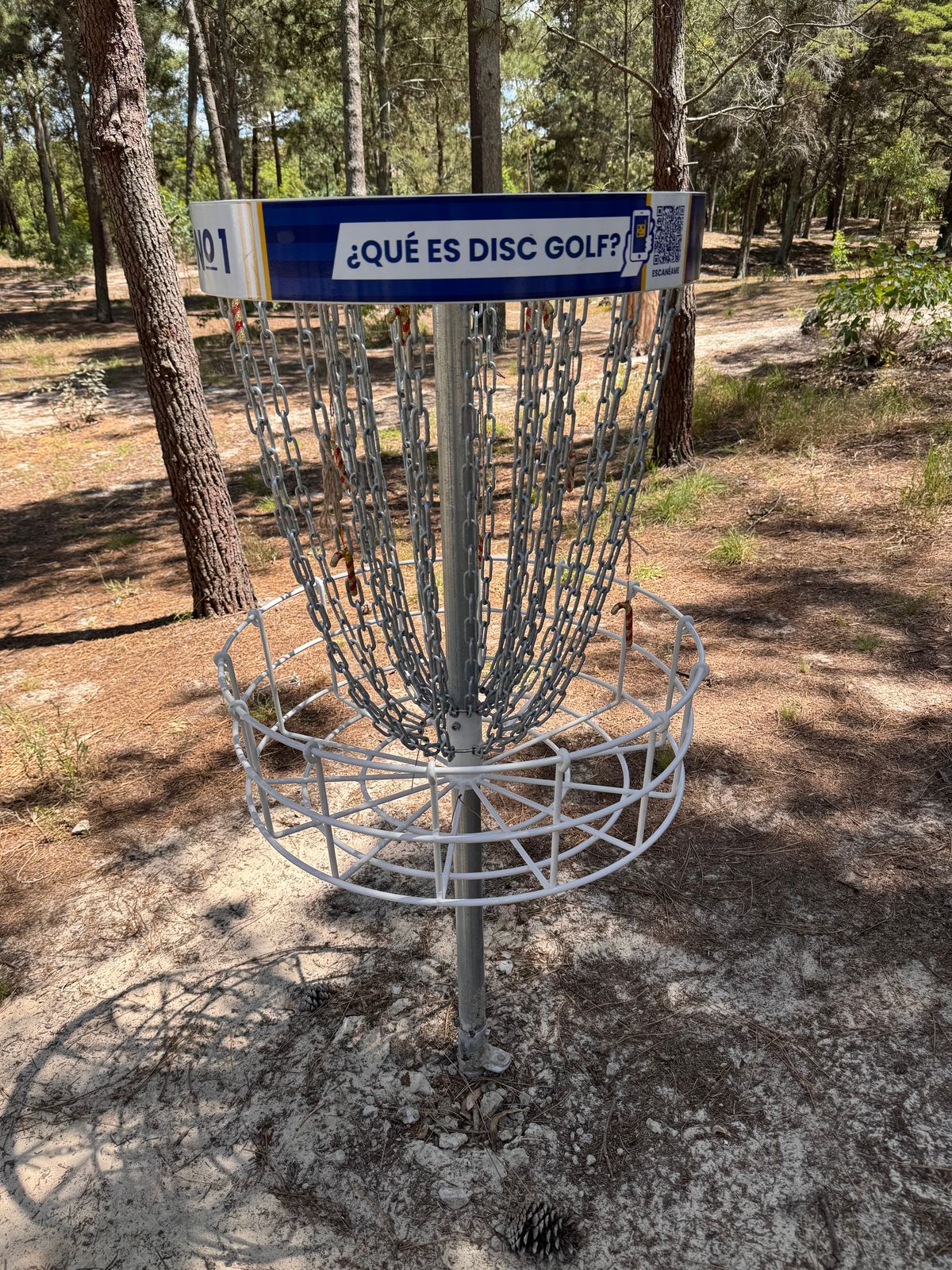 brand new baskets in the ground