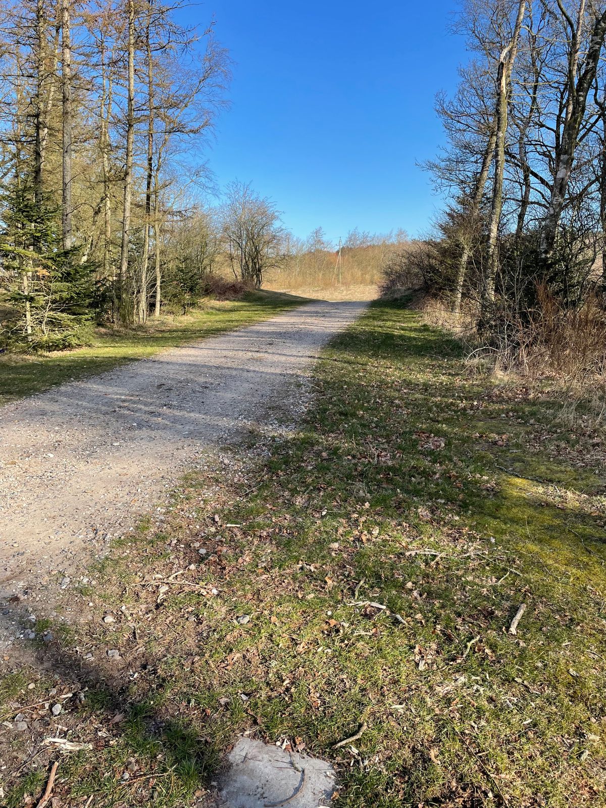 Teeshot Hole 2