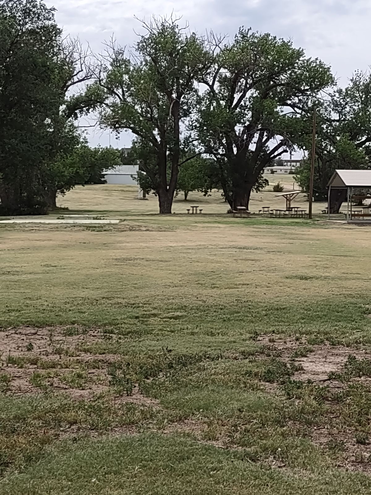 Looking due west from the #8 tee.