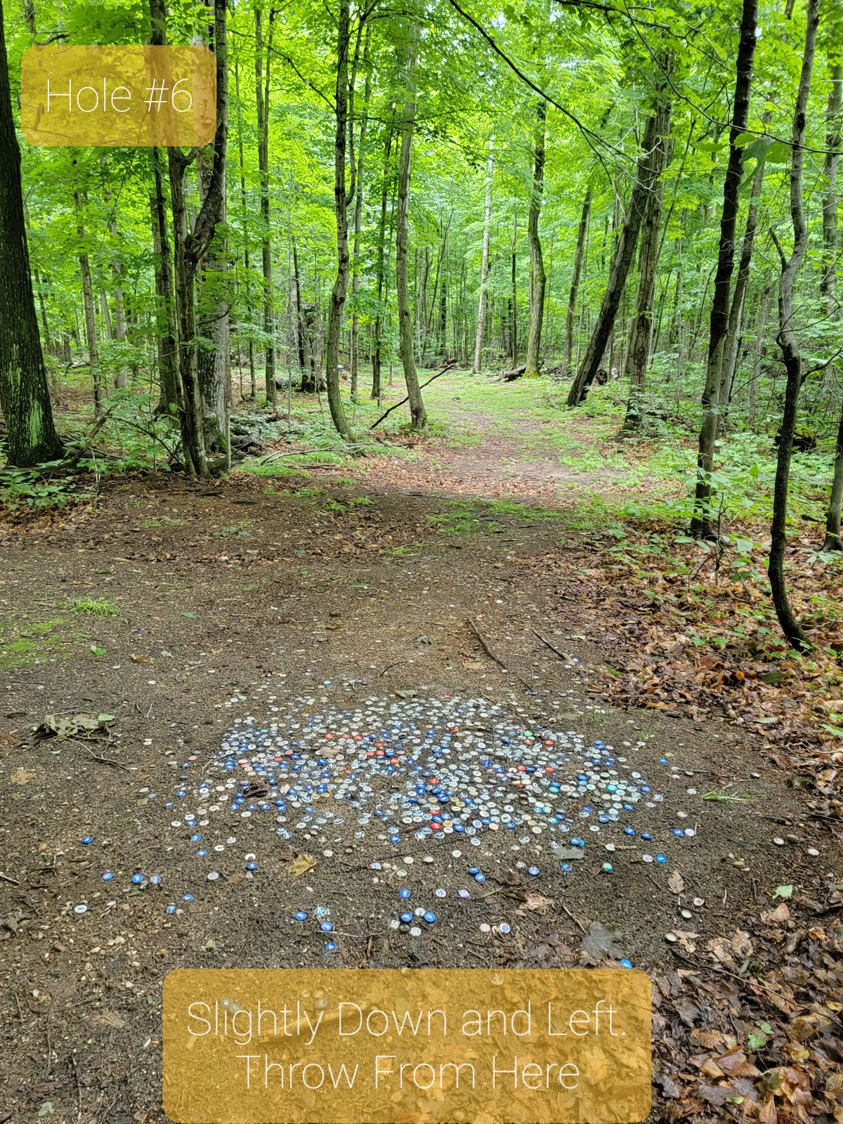 Hole 6 Tee