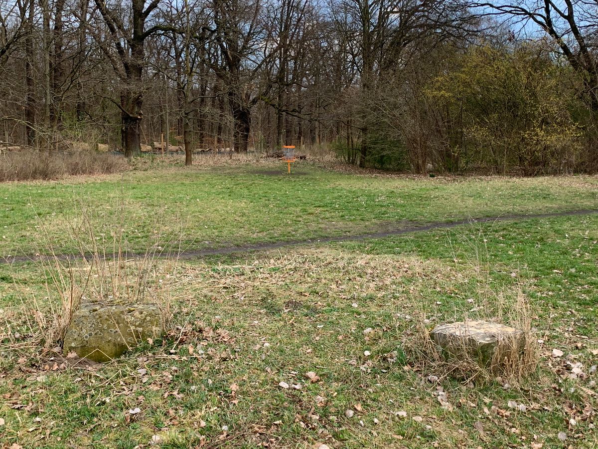 Hole 7