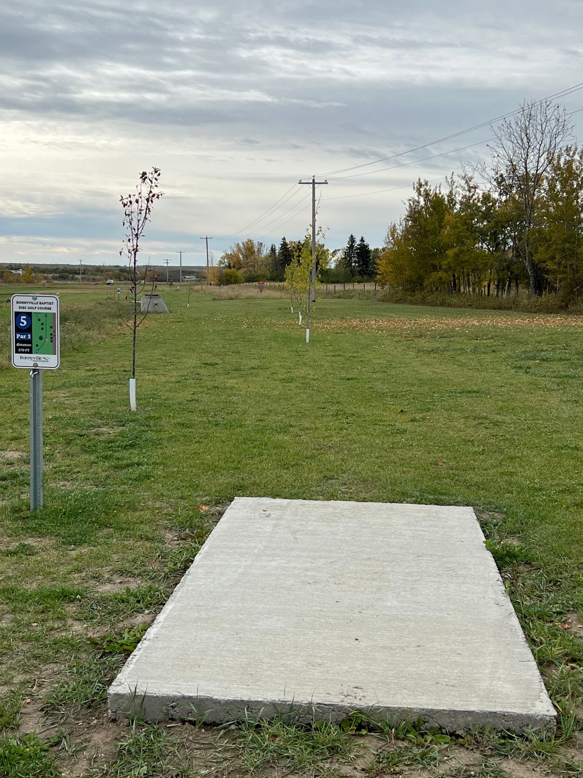 Hole 5 long tee
