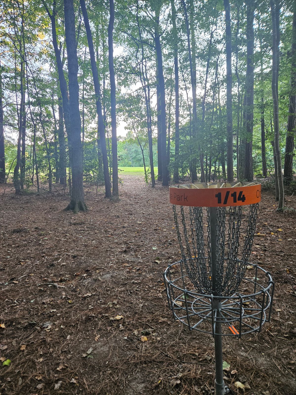Looking back towards the gap from the shared basket of 1 and 14