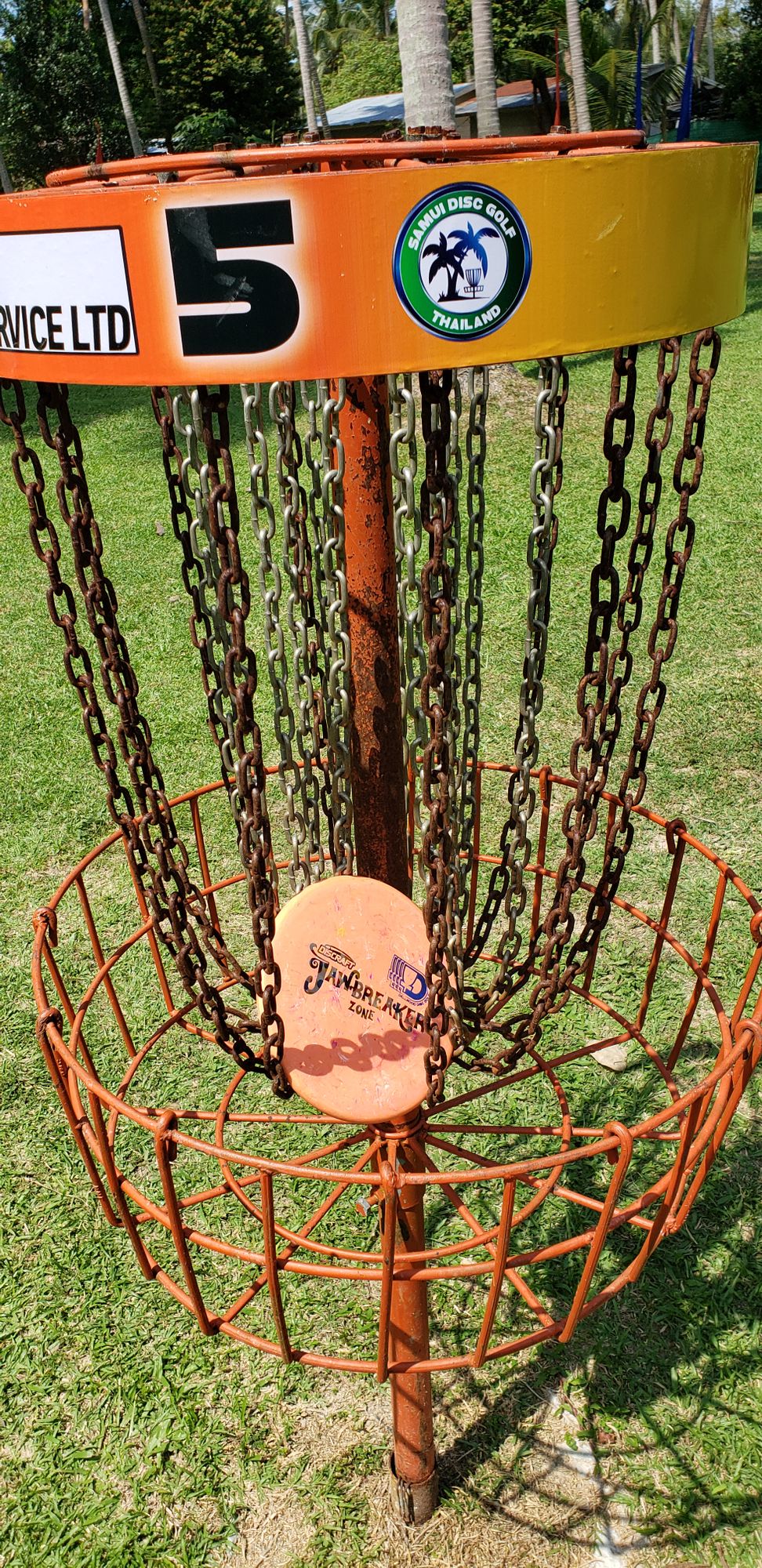 Hole 5 basket close up