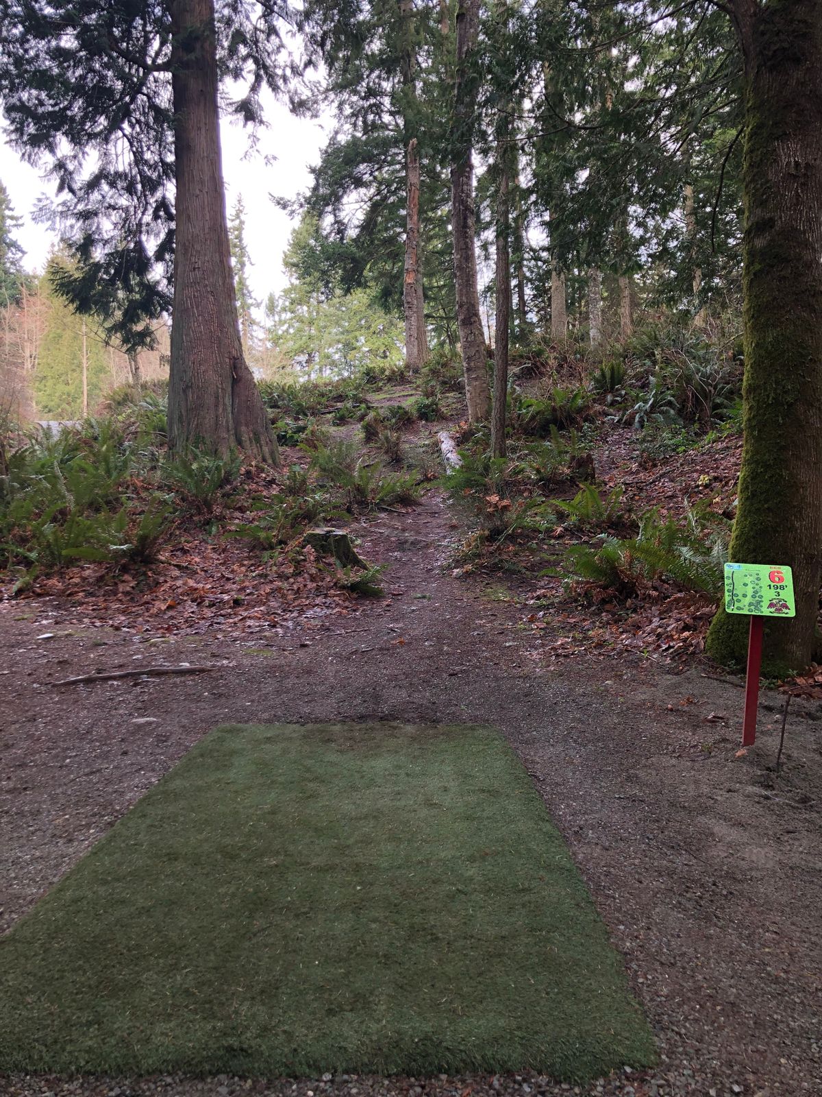 Hole 6