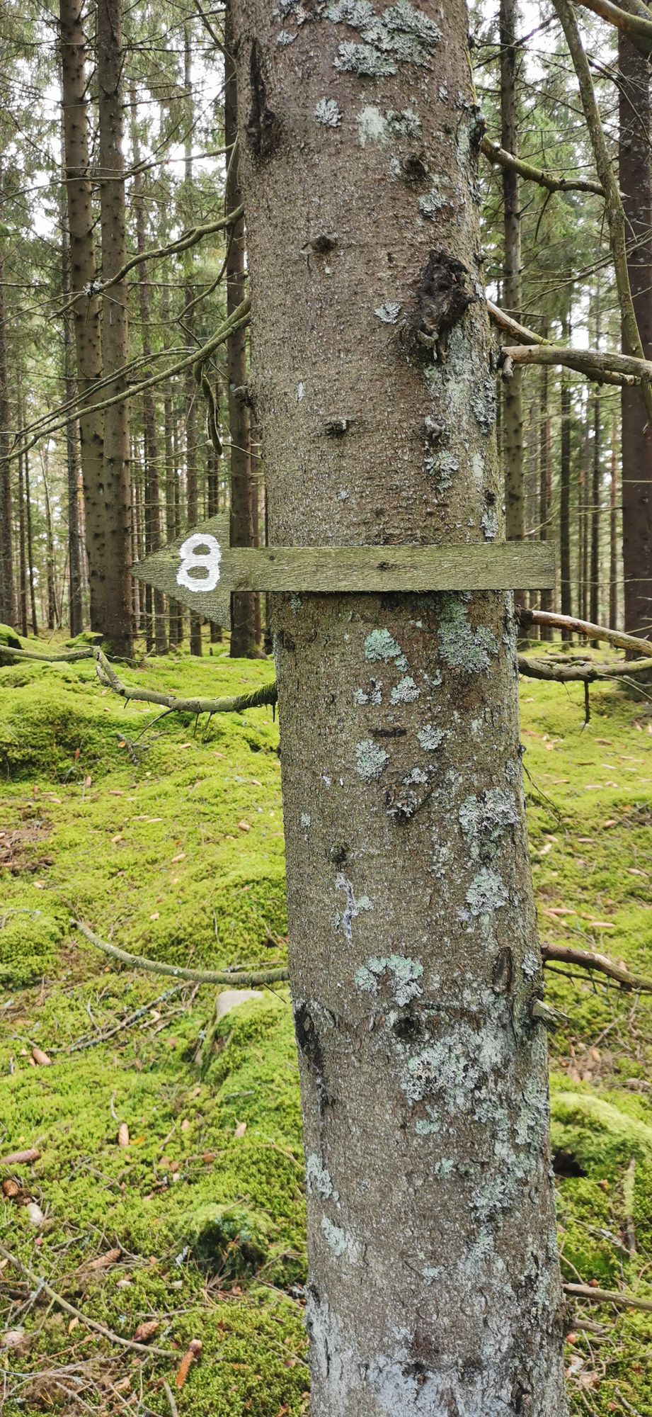 Viss vägvisning finns