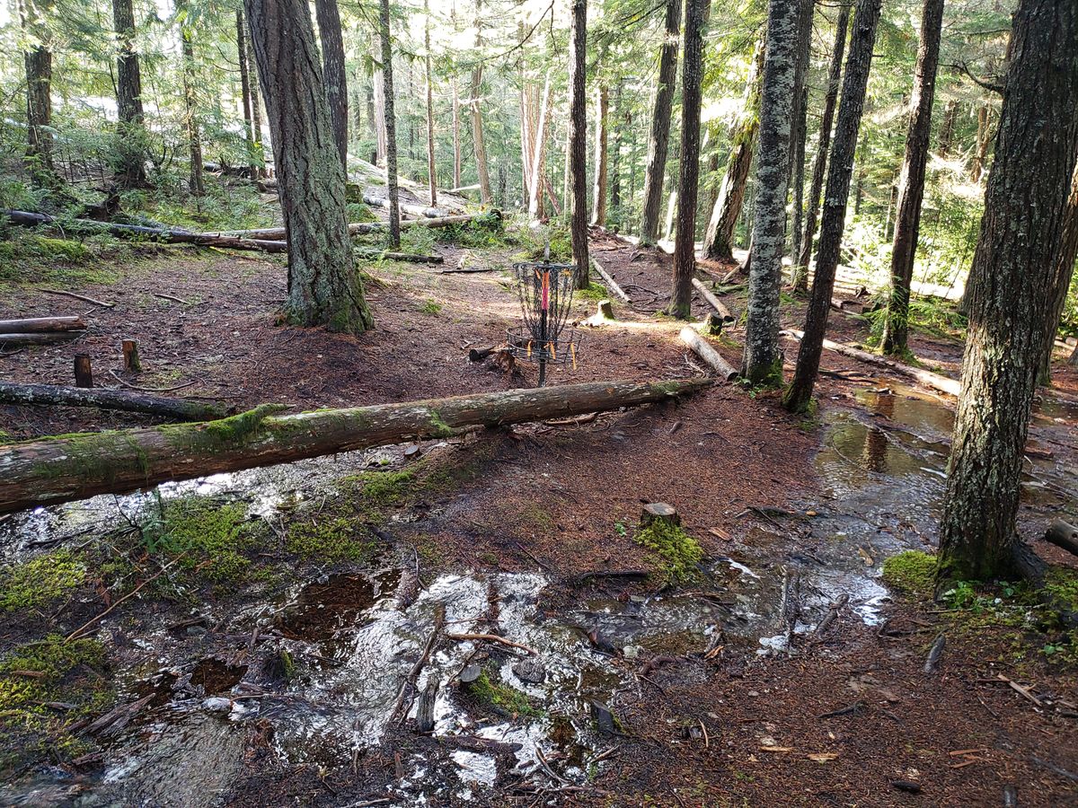 Hole 3, extended basket.  Usual seasonal stream across hole 4 to this basket.