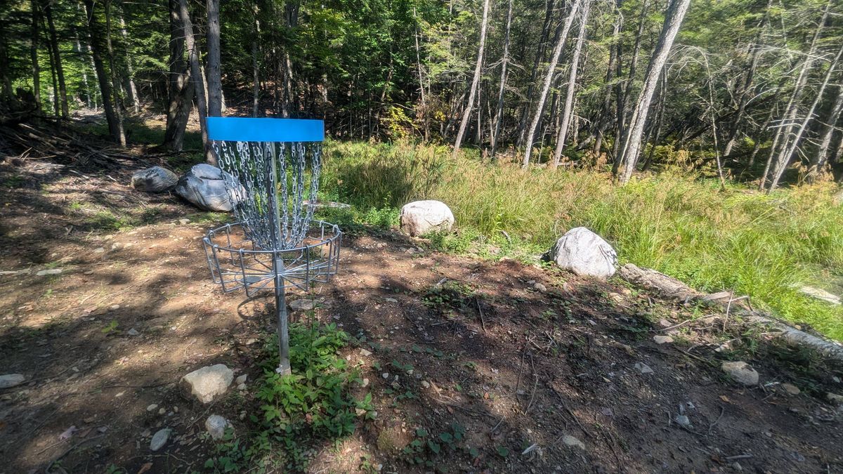 Hole 7 Green