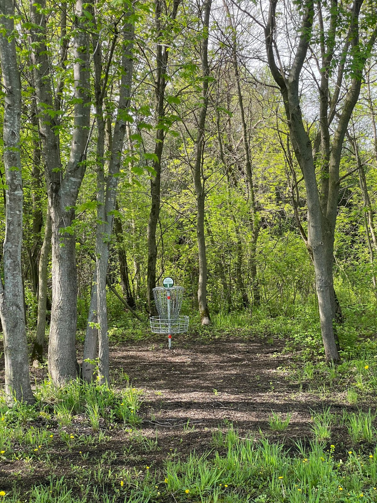 Hole 2