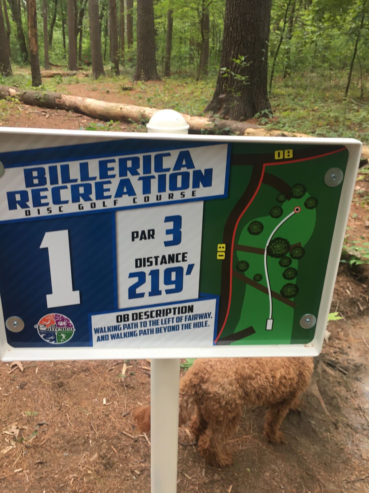 Signage