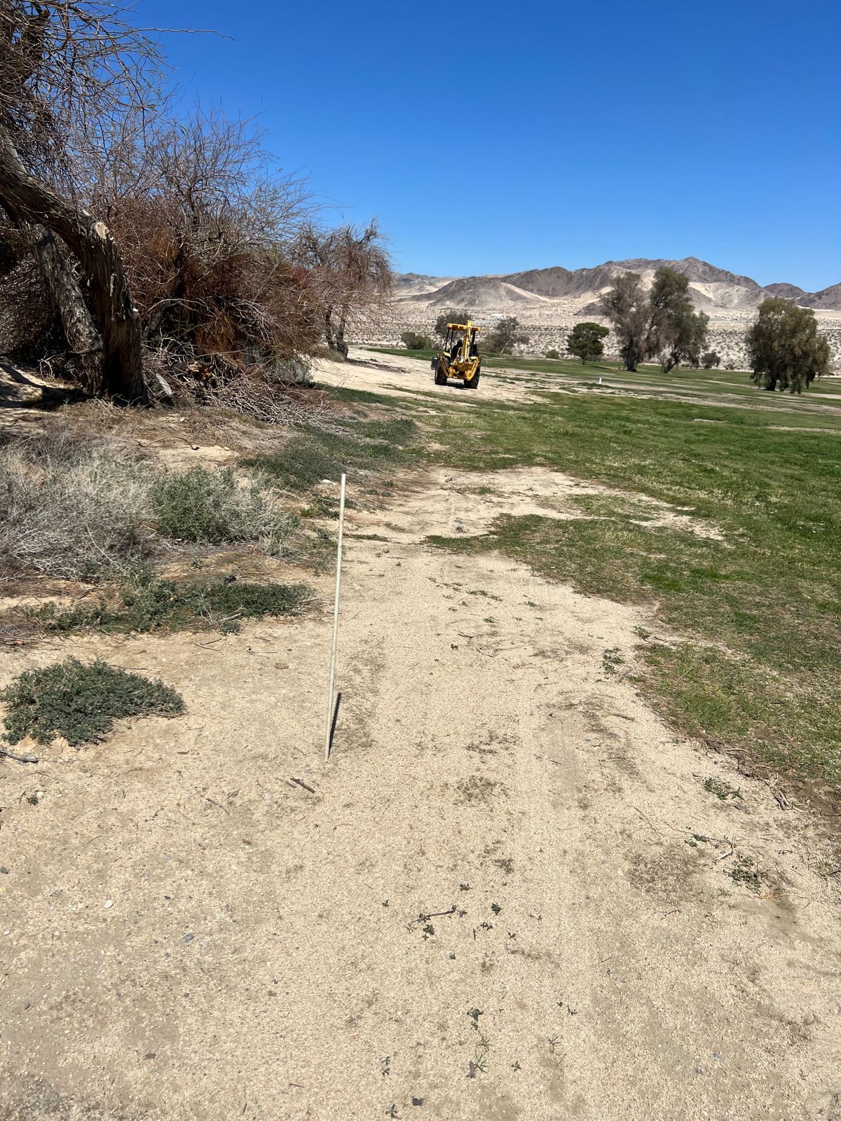 Hole 11!  Basket is to left of tractor!