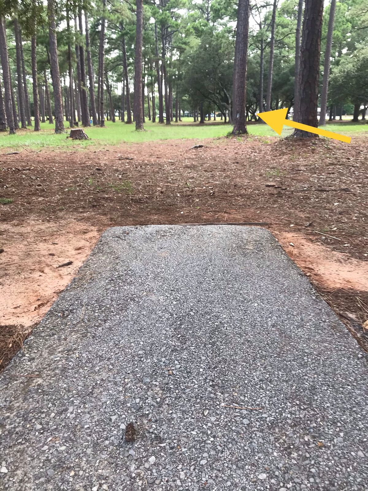 Amateur tee, 11th hole