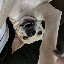 User avatar image