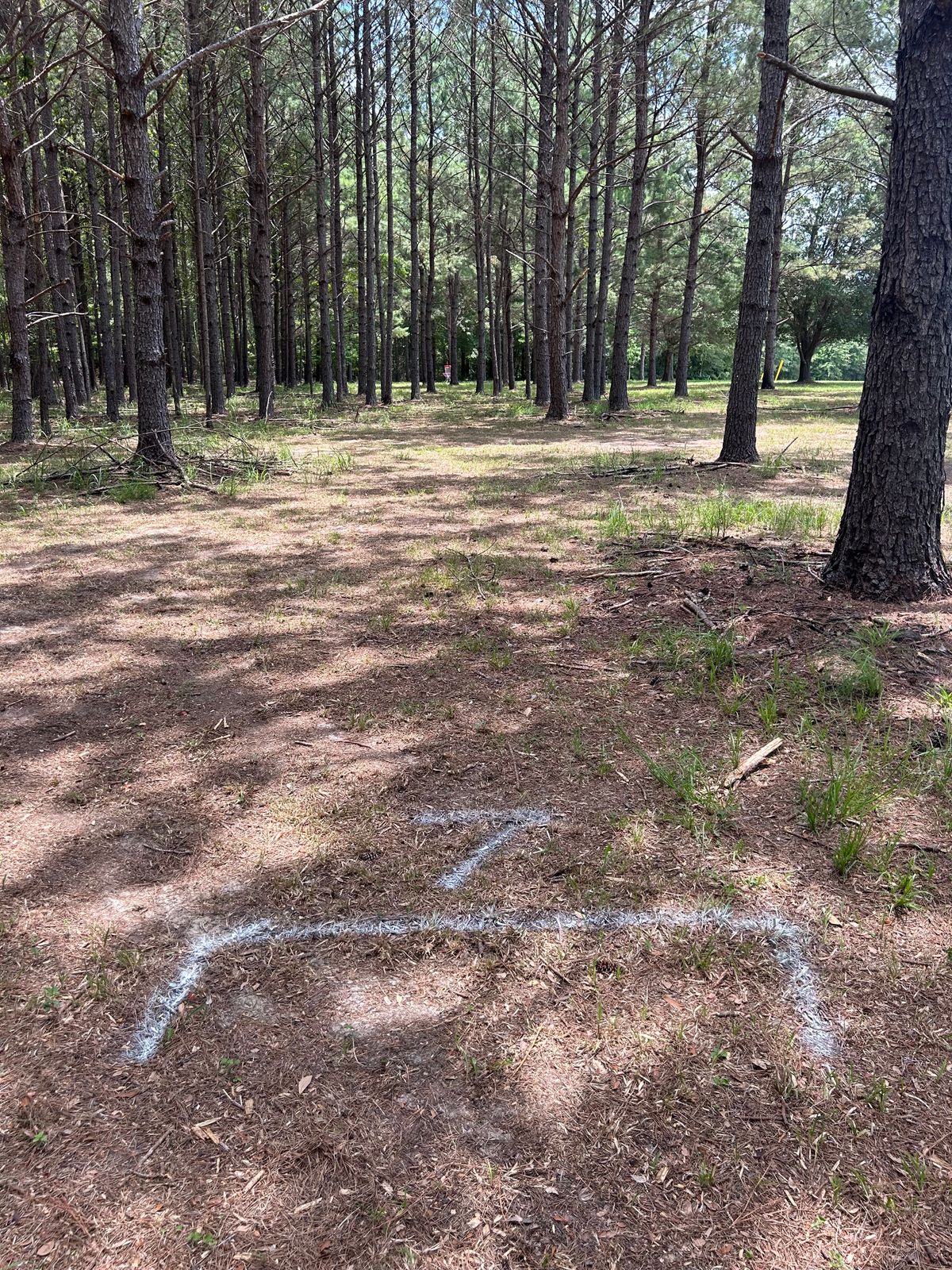 Hole 7 tee pad