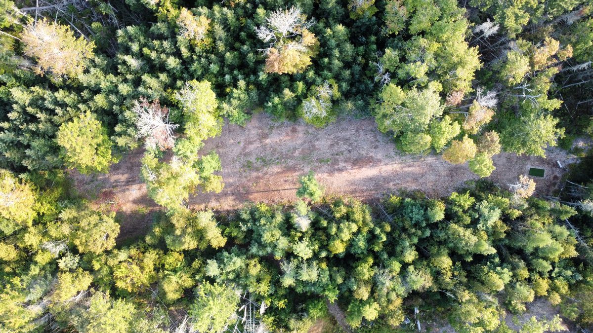 Hole 6 - overhead view.